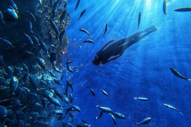 Afrikat Morning Cruise - Who Will Love This Cruise?