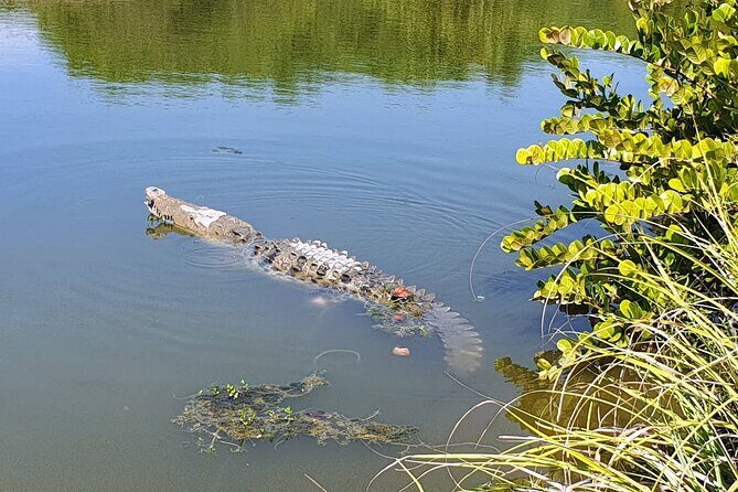 Afro-Mexican Village: Horseback Beach Ride, Crocs & Cliff Diver - Frequently Asked Questions