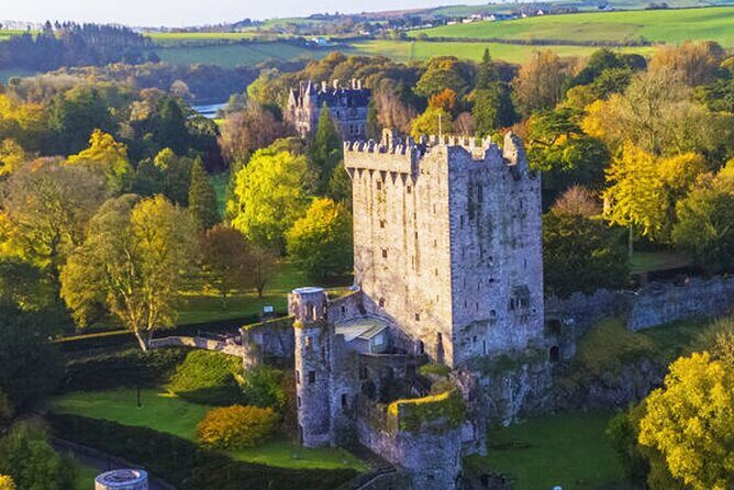 Afternoon Blarney Castle and Cobh Half Day Tour from Cork - What to Expect from the Tour