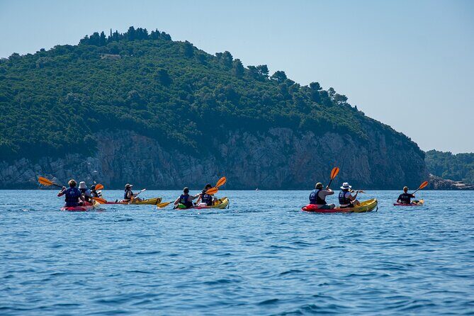 Afternoon Dubrovnik Guided Kayaking Tour - Who Will Appreciate This Tour?