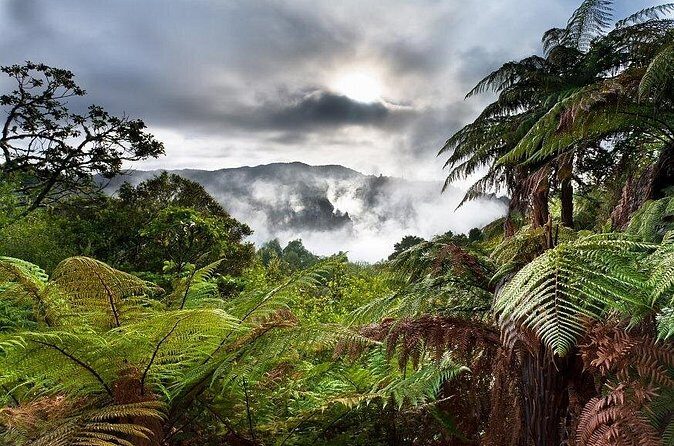 Afternoon Eco-Thermal Tour Explore Nature's Wonders - Who Is This Tour Best Suited For?