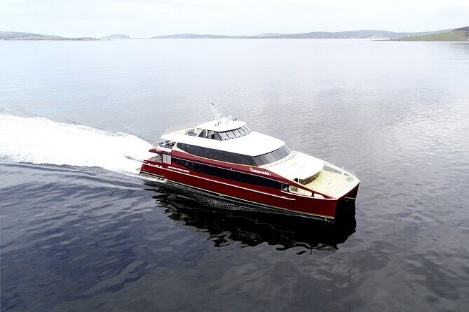 Afternoon Gordon River Dinner Cruise - What We Loved About This Cruise