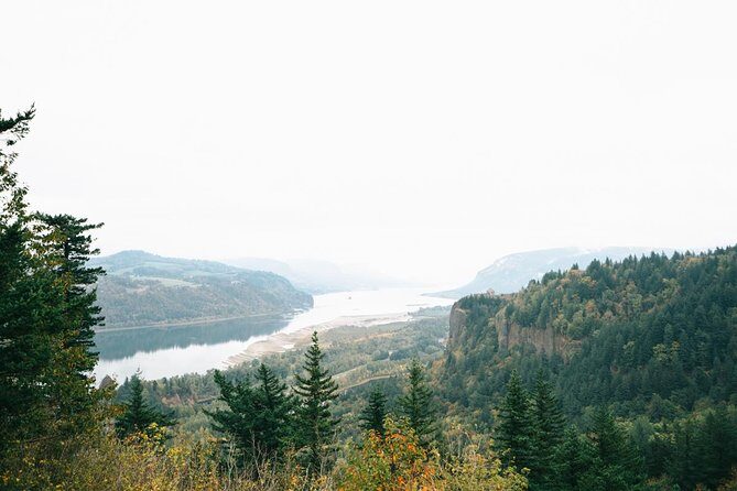 Afternoon Half-Day Multnomah Falls and Columbia River Gorge Waterfalls Tour from Portland - Authentic Traveler Feedback