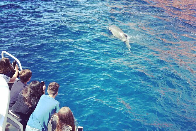 Afternoon in Scandola and creeks of Piana with stop in Girolata - The Itinerary Breakdown