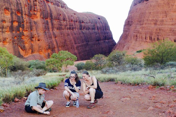 Afternoon Kata Tjuta Small Group Tour - First Stop: Walpa Gorge