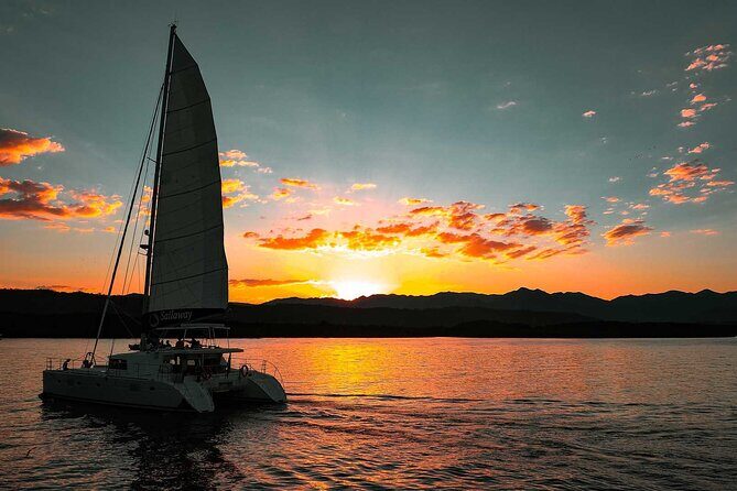 Afternoon Low Isles Snorkelling & Sunset Sail from Port Douglas - Analyzing the Value