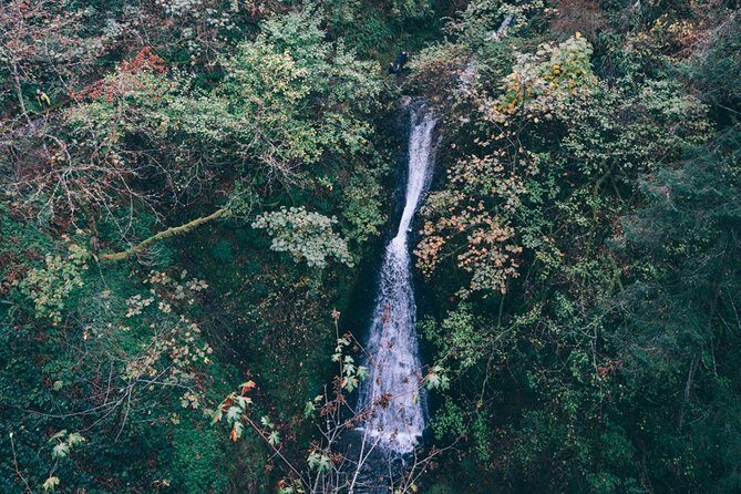 Afternoon Multnomah Falls and Gorge Waterfalls Tour - Who Is This Tour Best For?