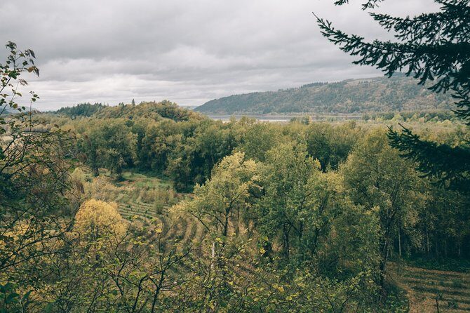 Afternoon Multnomah Falls and Gorge Waterfalls Tour - FAQs