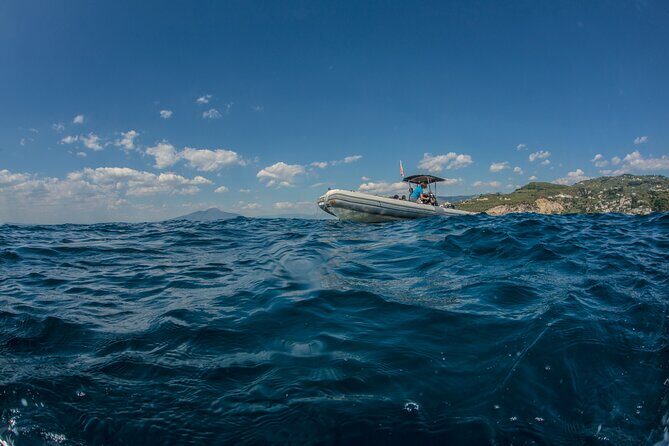 Afternoon snorkelling guided by a marine biologist in Sorrento - The Value of This Tour