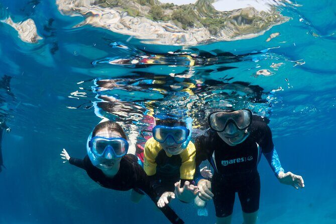 Afternoon snorkelling guided by a marine biologist in Sorrento - Frequently Asked Questions