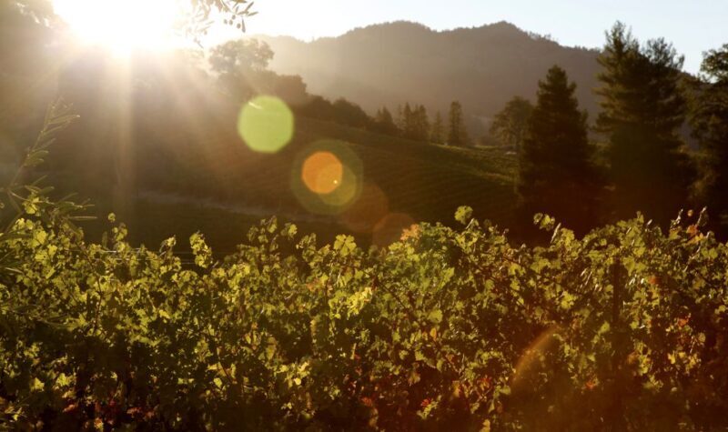 Afternoon: Tour Soap, Olive Oil, Wine Stories of Peza Valley - Who is this tour best for?