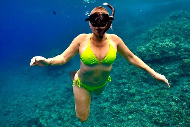 Afternoon Turtle Town Snorkel at Coral Gardens - The Experience Provider