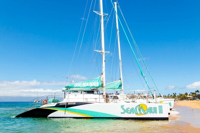 Afternoon West Maui Snorkel from Kaanapali Beach - FAQs