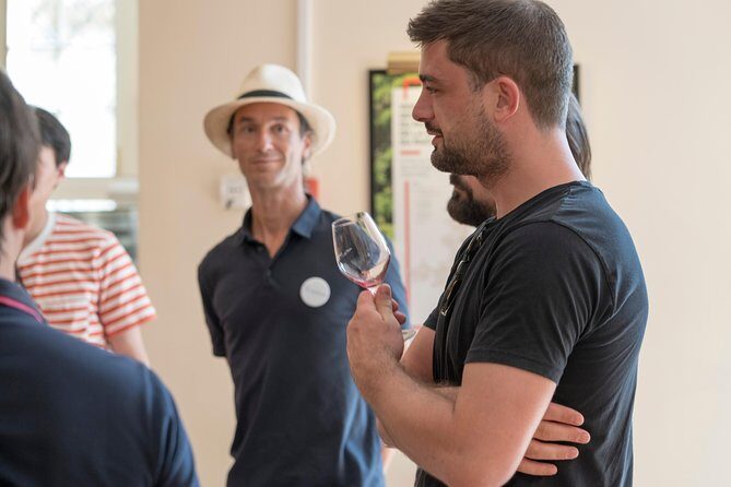 Afternoon Wine Tour to Chateauneuf du Pape from Avignon - The Practical Side: Price, Comfort, and Booking