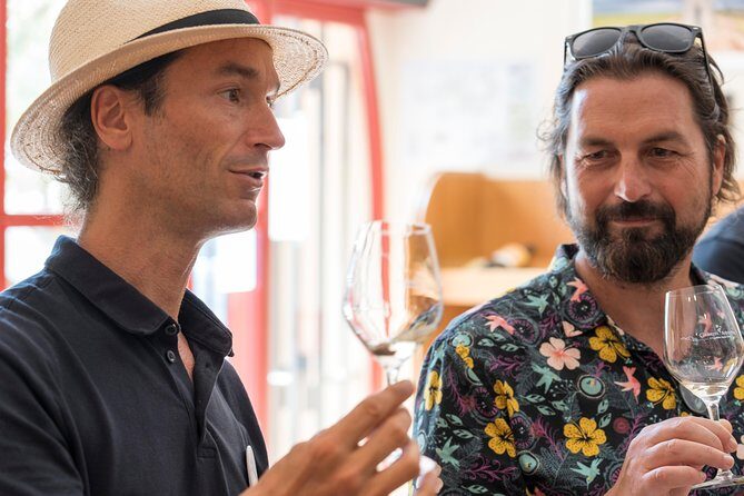 Afternoon Wine Tour to Chateauneuf du Pape from Avignon - Authentic Feedback from Travelers