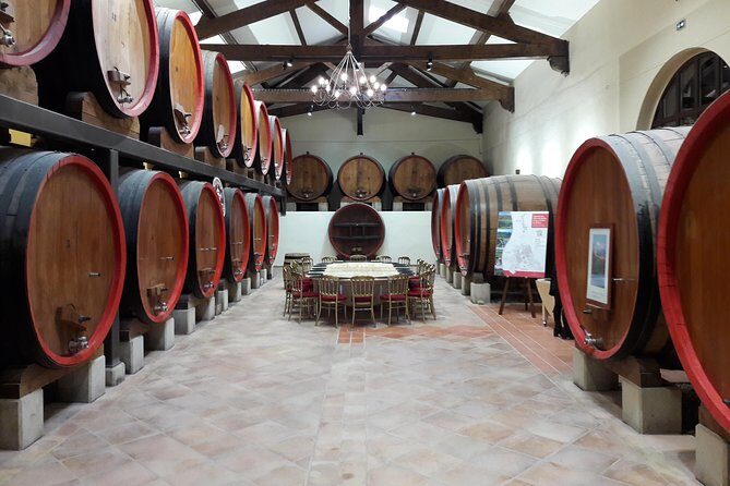 Afternoon Wine Tour to Chateauneuf du Pape from Avignon - FAQ