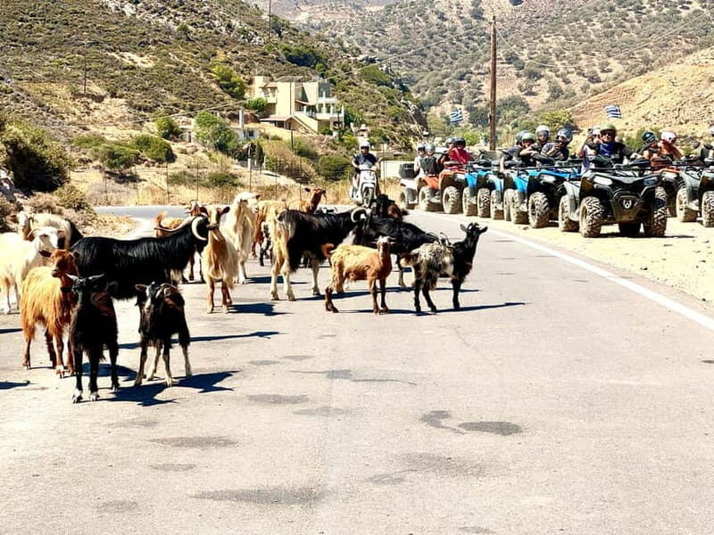 Ag. Pelagia Crete: Quad Safari to explore authentic villages - Frequently Asked Questions