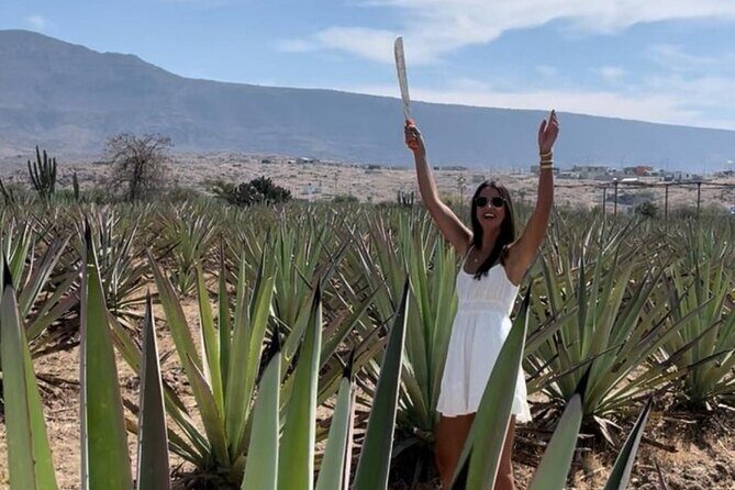 Agave Adventures Mexico - What to Expect from the Tour