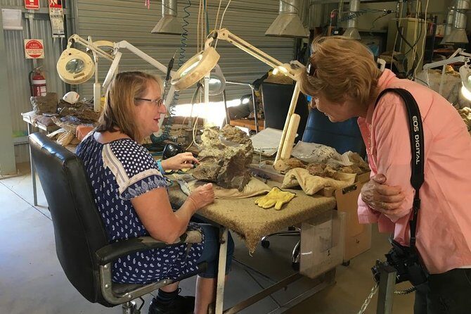 Age of Dinosaurs Museum Half Day Guided Transfer from Winton - The Sum Up