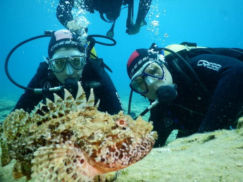 Agia Pelagia: Introduction to Scuba Diving Experience - What the Experience Looks Like