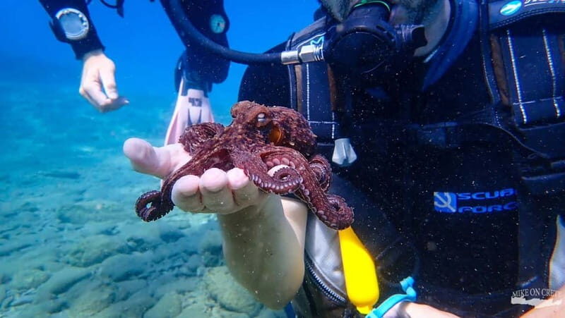 Agia Pelagia: Scuba Diving Activity for Children - Key Points