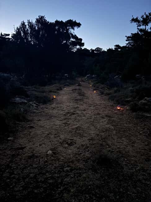 Agios Nikolaos: Evening Forest Yoga and Hiking Experience - What Is the Agios Nikolaos Evening Forest Yoga and Hiking Experience?