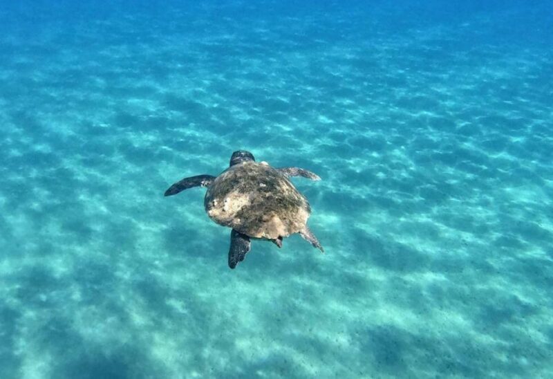 Agios Sostis: Marathonissi, Keri Caves, and Turtle Spotting - Who Is This Tour Best For?