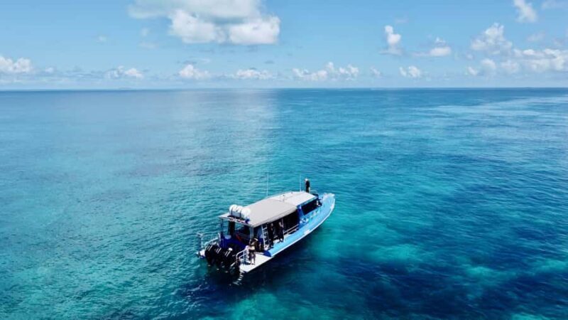 Agnes/1770: Southern Great Barrier Reef Snorkelling Day Trip - An Introduction to the Tour