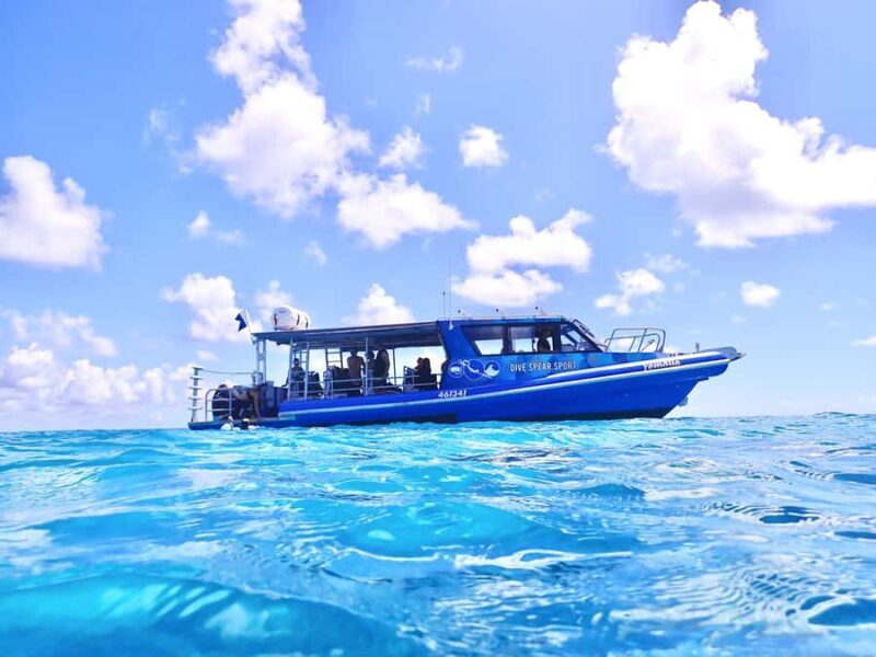 Agnes/1770: Southern Great Barrier Reef Snorkelling Day Trip - The Marine Encounters and Underwater Highlights