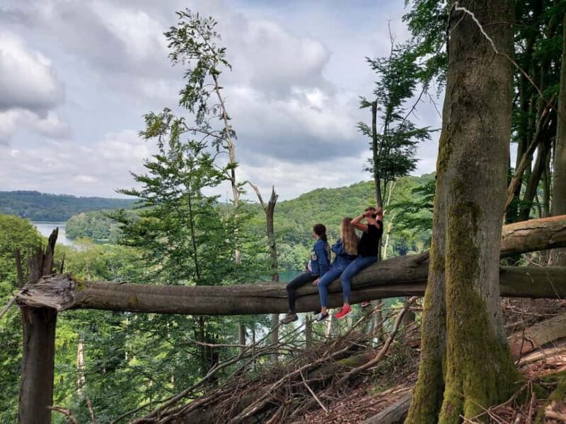 agów: Horseback Riding in agów Landscape Park - Key Points