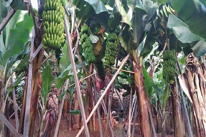 Agriculture Green Tour - Key Points