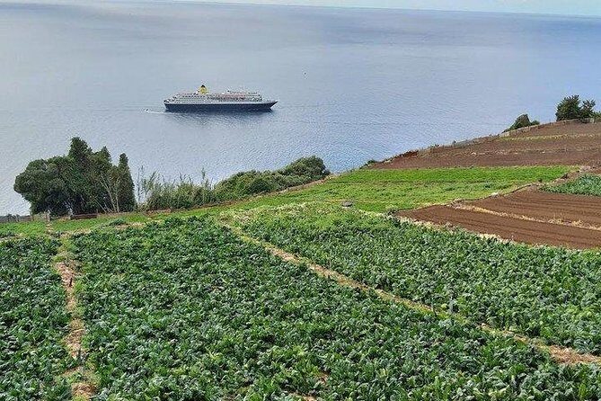 Agriculture Green Tour - Discovering Madeira’s Farming Heritage