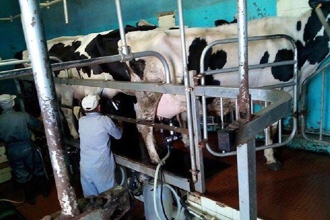 Agriculture Green Tour - FAQ