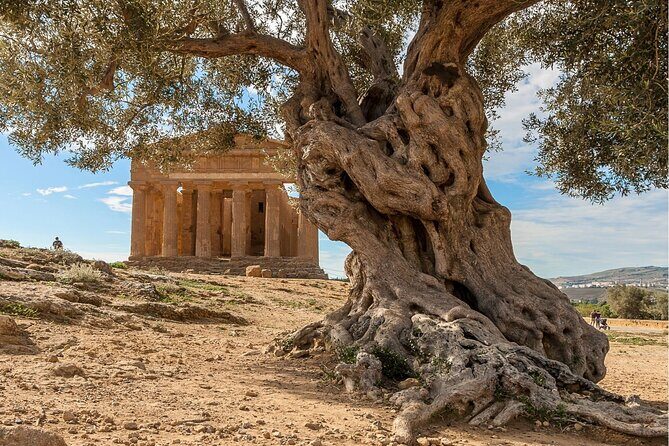 Agrigento to Siracusa with Valley of Temples and Roman Villa Trip - Who Will Love This Tour?