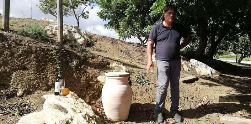 Agrigento: Vineyards and Wine Tasting Experience - Agrigento: Vineyards and Wine Tasting Experience – An Honest Look