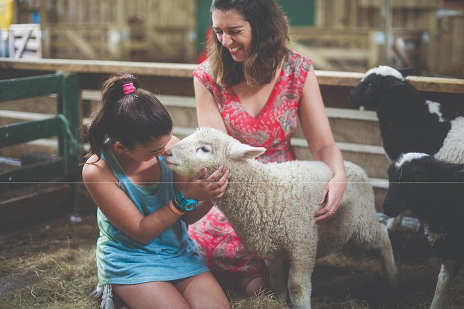 Agrodome Farm Experience including Farm Show and Farm Tour - Rotorua - Final Thoughts