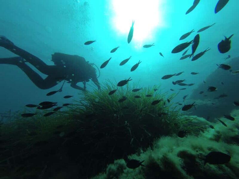 Agropoli: Scuba Diving Experience - Key Points