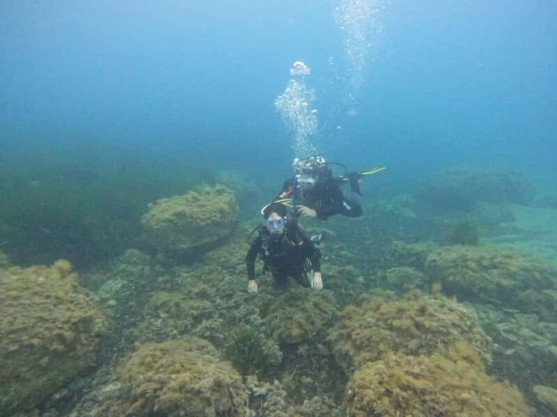 Agropoli: Scuba Diving Experience - Analyzing the Value