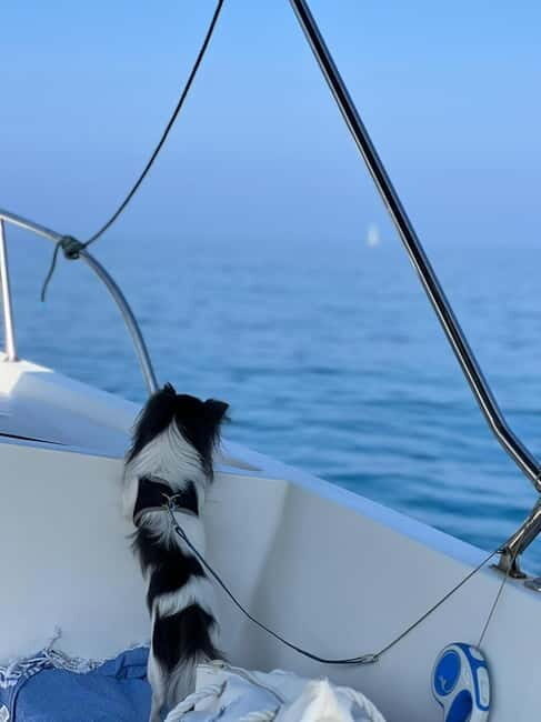 Agropoli: sunset boat tour with aperitif - What to Expect: A Relaxed, Scenic Cruise