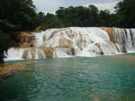Agua Azul, Misol-Ha & Palenque Ruins from San Cristobal - Authentic Voices from Travelers