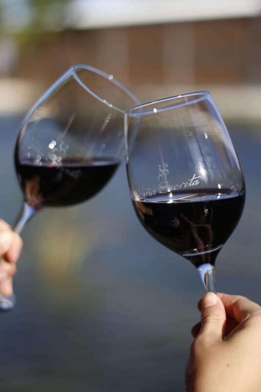 Aguascalientes: Enotourism Tour - The Experience from Real Travelers