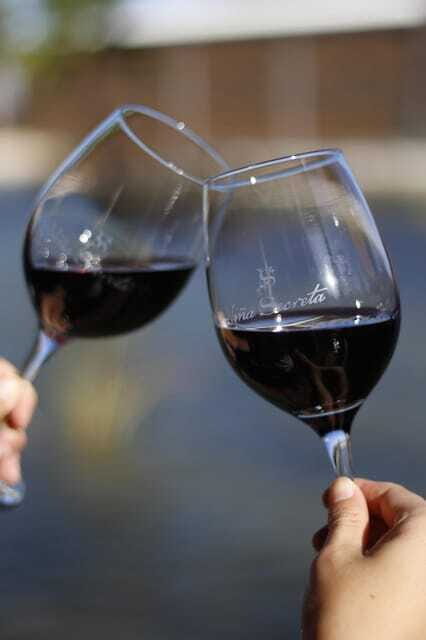 Aguascalientes: Enotourism Tour - Final Thoughts: Who’s This Tour Perfect For?