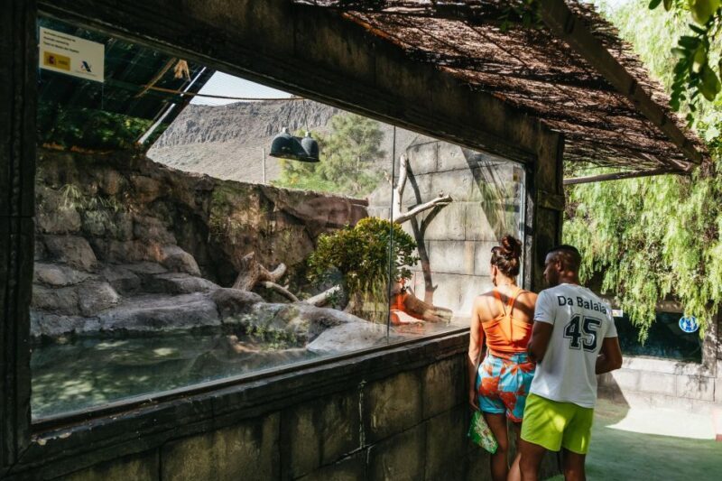 Agüimes: Cocodrilo Park Zoo Entry Ticket - Final Thoughts