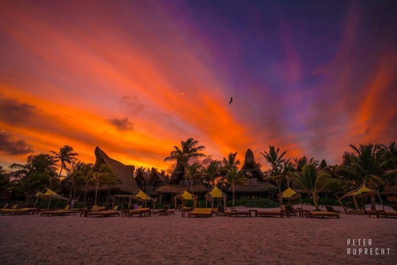 Ahau de Noche: Dinner under the stars and iconic art in Tulum - A Closer Look at the Itinerary