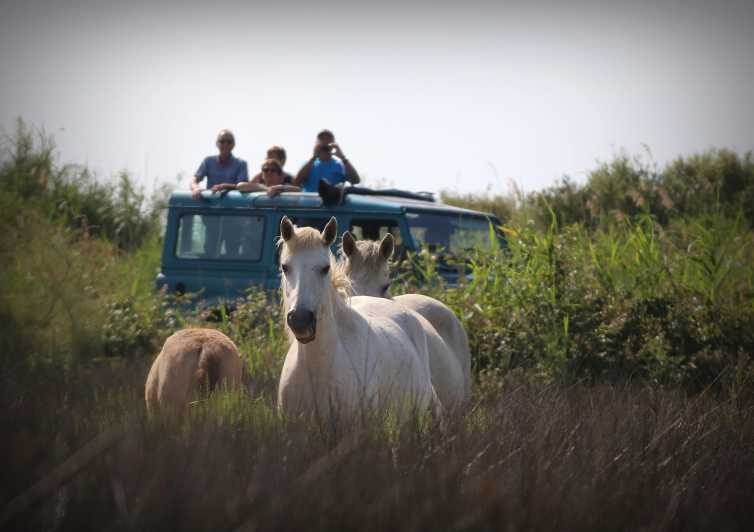 Aigues Mortes: Jeep Photo Safari in Camargue - Key Points