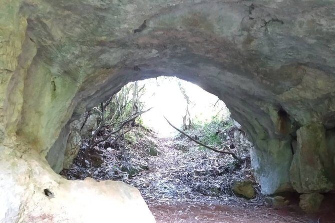 Aire & Candeeiros: Nature, Fossils and Forgotten Traditions - The Guide and Transportation