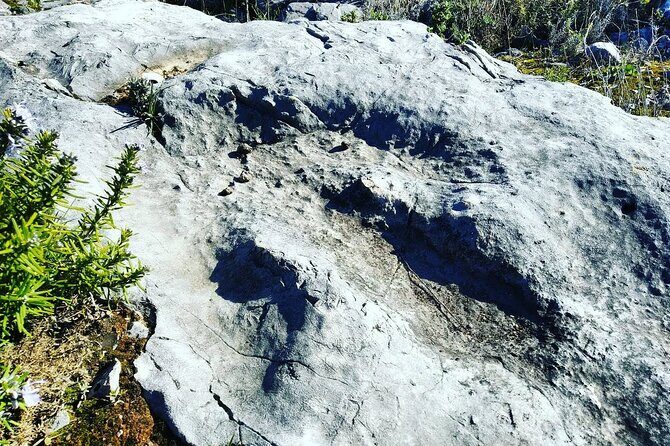 Aire & Candeeiros: Nature, Fossils and Forgotten Traditions - Final Thoughts