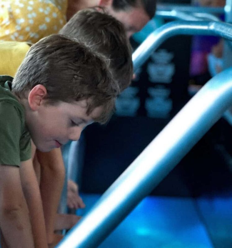 Airlie Beach: Glass-Bottom Boat Night Tour - What to Expect from the Tour