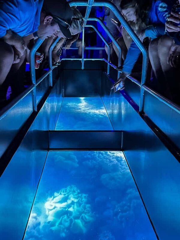 Airlie Beach: Glass-Bottom Boat Night Tour - Real Travelers Experiences