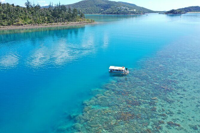 Airlie Beach Glass Bottom Boat Tour - Key Points
